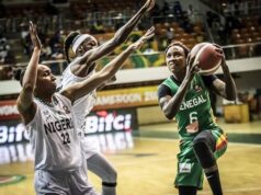 AfroBasket 2025 Semi-Final Preview: Time and Where to Watch as Nigeria’s D’Tigress Set for High-Stakes Clash Against Senegal