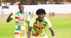 Swarm of Bees Halts City FC Abuja’s Match in Tanzania, Nigerian Side Triumphs 2-1 After Bizarre Interruption