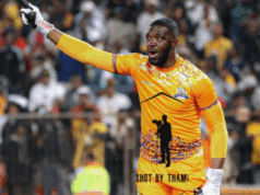 Super Eagles Must Avoid Overreliance on Osimhen Ahead of FIFA World Cup Playoffs, Warns Akpeyi