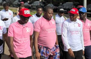 APC Youth Leader, Health Minister, and Others Lead “Going Pink Walk” to Raise Breast Cancer Awareness in Abuja