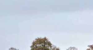 Nigeria’s Justin Adozi Strikes Again as Borussia Mönchengladbach II Secure Vital Win in Regionalliga West