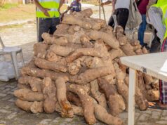 Ganiyu Obasa Partners T.Topps Foods To Feed Agege Residents