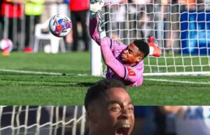 Oluwayemi Delivers Stunning Goalkeeping Display Despite Wellington Phoenix Defeat in NZ Derby