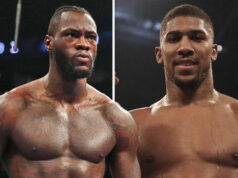 Joshua Gains Unexpected Support From Deontay Wilder Ahead Of December 19th Clash With Jake Paul