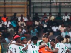 NFF Bows to Pressure, Assures Super Falcons of International Friendly in February Window