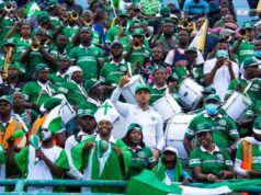 Fans Can Make the Difference’ Odiaka Says Super Eagles Need Total Support at AFCON