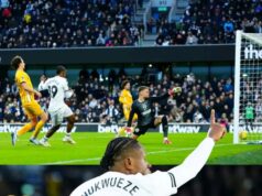 Chukwueze Shines Off the Bench as Fulham Snatch Late Win Over Brighton