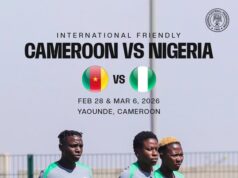 Nwadike Backs Super Falcons Squad Ahead of Cameroon Friendly