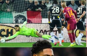 Clean Sheet King: Okoye Stars in Udinese’s Gritty Roma Triumph