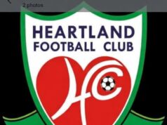 NFF Orders Heartland FC to Pay ₦6.4m Severance Fee to Coach
