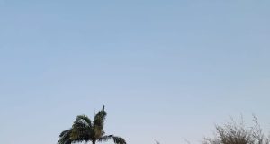 Team 33 Kicks Off Live Coverage of Nigeria National League (NNL)