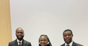 NPFL Could Attract N200bn Investment in Five Years – Nelson Ine