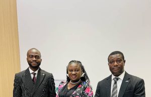 NPFL Could Attract N200bn Investment in Five Years – Nelson Ine