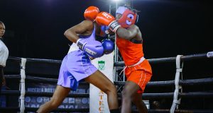 PPBA Pledges Loyalty to NBBofC, Targets Sustainable Future for Nigerian Boxers