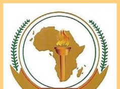 Nigeria Bids to Host 2031 African Games, AU Sports Council Set for Inspection Visit