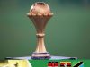 Explainer: How Will Proposed AFCON Expansion Work