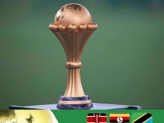 Explainer: How Will Proposed AFCON Expansion Work
