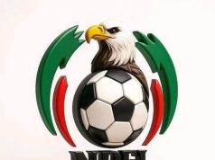 Indebtedness: NFF Orders Transfer Ban on Non-Compliant NPFL, NNL Teams Over Contract Breaches