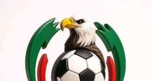 Indebtedness: NFF Orders Transfer Ban on Non-Compliant NPFL, NNL Teams Over Contract Breaches