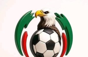 Indebtedness: NFF Orders Transfer Ban on Non-Compliant NPFL, NNL Teams Over Contract Breaches