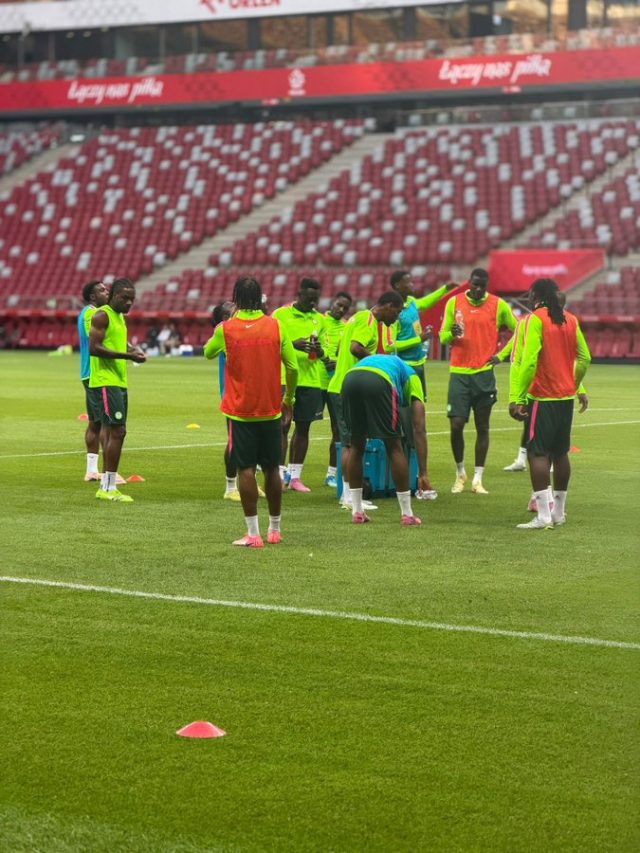 Loveday Omoruyi Urges Super Eagles To Improve Game Management Ahead Of Poland Clash