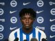 Brighton Signing Zadok Yohanna Promises To Give Everything After Emotional Move