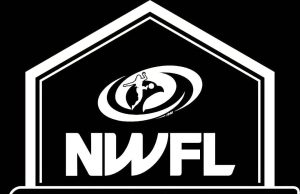 NWFL Championship: DreamStar Ladies, Imo Striker Queens, Wazbak Make Winning Statements on Opening Day
