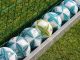 Despite Victor Boniface’s Bundesliga Form, the Super Eagles Fell Short