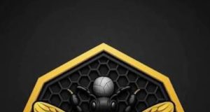 NPFL: Ranchers Bees Make Bold Statement as Umar Sadiq’s Club Appoints Usman Abdallah, Intensifies Recruitment Drive
