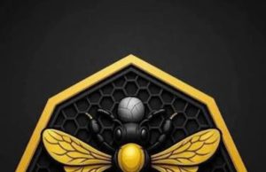 NPFL: Ranchers Bees Make Bold Statement as Umar Sadiq’s Club Appoints Usman Abdallah, Intensifies Recruitment Drive