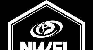 NWFL Championship: Promotion Race Intensifies as Matchday Two Takes Centre Stage in Calabar