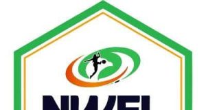 DreamStar Ladies, Pelican Stars, Rangers Women, Imo Striker Queens Advance to NWFL Championship Promotion Playoffs