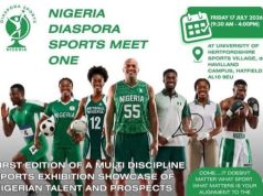 Diaspora Committee Chairman Tunde Adelakun Confesses: ‘It Hurts Seeing Nigerian Talents Competing For Other Countries’
