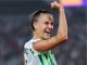 ‘We Thrive Under Pressure’ — Ashley Plumptre Backs Super Falcons to Respond Against Zambia