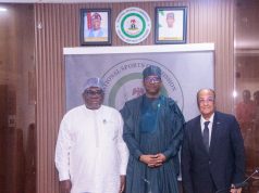 Dikko: We Are Reviving Hockey Pitches Across Nigeria