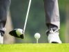 Nigeria Cup Golf 2026 Is Born Of Legacy For Greatness, Says LOC Chairman Olorogun Mohammed Oyibo