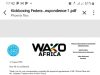 African Kickboxing Confederation Denies Fresh Appointments For Nigeria’s Wilson Okon, Abubakar Yakubu