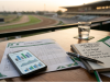 Horse Racing Betting Sites: A Nigerian Fan’s Guide to Racecards, Odds and Safer Betting