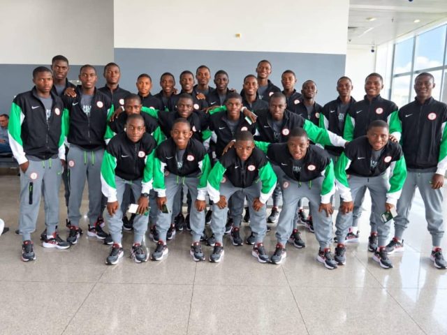 Golden Eaglets