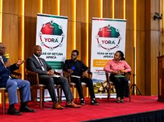 Africa Sitting on Mineral Wealth but Lacking Investment-Ready Mines, Experts Warn at YORA Summit 2026