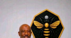 NPFL: Ranchers Bees Part Ways With Usman Abd’Allah After Just 115 Days, Two Wins in Nine Matches