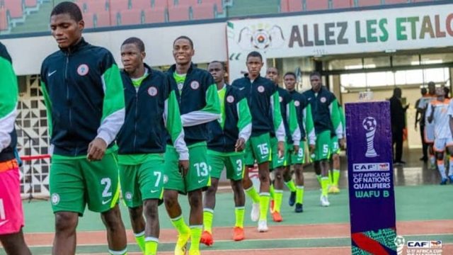 Golden Eaglets