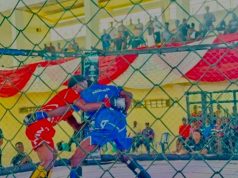 Bayelsa Tops Medal Table As MMA Championship Sets Stage For National Sports Festival
