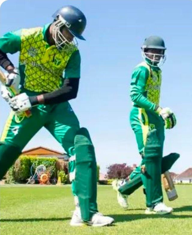 cricket